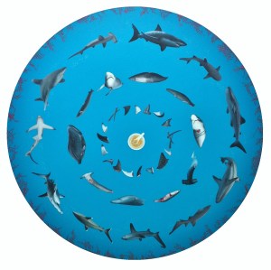 Fin 1 (limited portions) by Katie Tunn