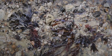 'Mid-Summer Tide' - by Trevor Scobie