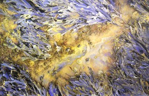 Trevor Scobie autumn equinox oil on canvas detail