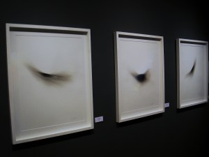 Ian Hodgson - 'Murmuration' series