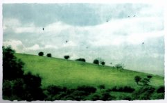  Title: Summer Down Artist: Luella Martin Size: 37 x 22 cm Medium: solar etching on BFK Rives Price £265 framed 